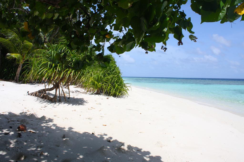 Plumeria Maldives Thinadhoo  Eksteriør bilde